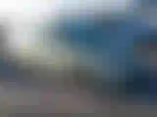 Vehicle Image- 2008 Toyota Prius