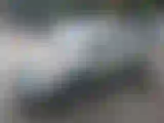 Vehicle Image- 2008 Toyota Prius