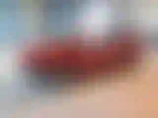 Vehicle Image- 2008 Toyota Prius