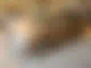 Vehicle Image- 2008 Toyota Prius