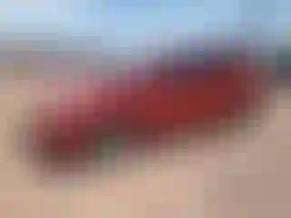 Vehicle Image- 2008 Toyota Prius