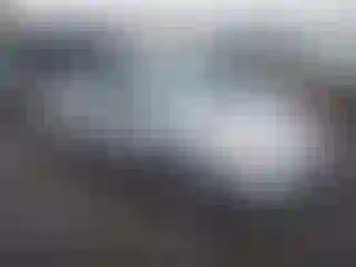 Vehicle Image- 2008 Toyota Prius