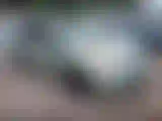 Vehicle Image- 2009 Toyota Prius