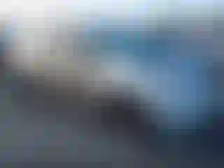 Vehicle Image- 2005 Toyota Prius