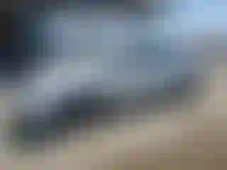 Vehicle Image- 2005 Toyota Prius