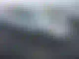 Vehicle Image- 2005 Toyota Prius