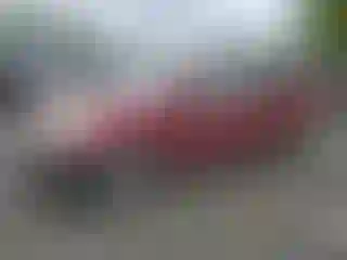 Vehicle Image- 2005 Toyota Prius