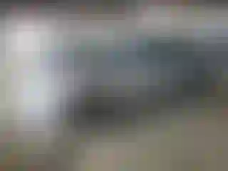 Vehicle Image- 2006 Toyota Prius