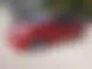 Vehicle Image- 2006 Toyota Prius