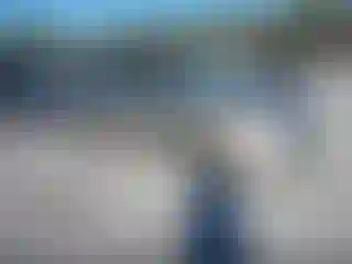 Vehicle Image- 2006 Toyota Prius