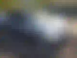 Vehicle Image- 2007 Toyota Prius