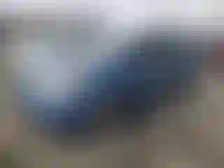 Vehicle Image- 2007 Toyota Prius