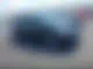 Vehicle Image- 2007 Toyota Prius