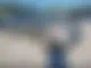 Vehicle Image- 2007 Toyota Prius