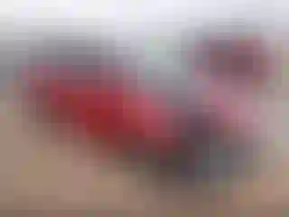 Vehicle Image- 2007 Toyota Prius