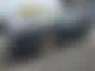 Vehicle Image- 2007 Toyota Prius