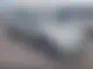 Vehicle Image- 2007 Toyota Prius