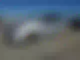 Vehicle Image- 2007 Toyota Prius