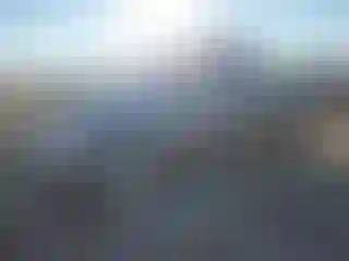 Vehicle Image- 2008 Toyota Prius