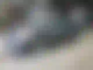 Vehicle Image- 2008 Toyota Prius