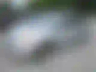 Vehicle Image- 2008 Toyota Prius