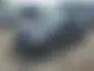 Vehicle Image- 2008 Toyota Prius