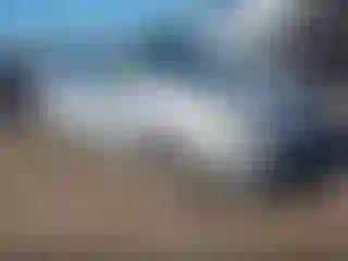Vehicle Image- 2008 Toyota Prius