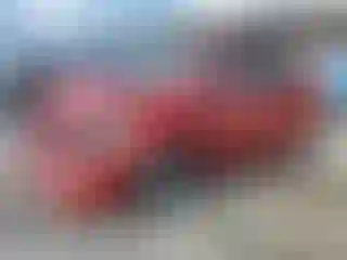 Vehicle Image- 2008 Toyota Prius