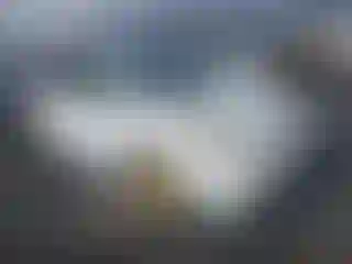 Vehicle Image- 2008 Toyota Prius