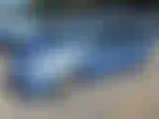 Vehicle Image- 2008 Toyota Prius