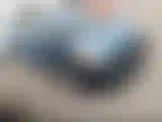 Vehicle Image- 2008 Toyota Prius