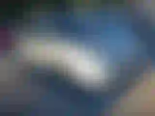 Vehicle Image- 2008 Toyota Prius