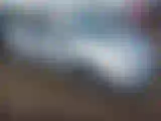 Vehicle Image- 2009 Toyota Prius