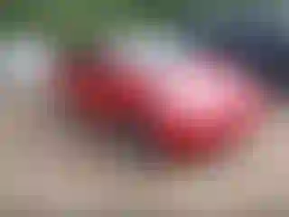 Vehicle Image- 2009 Toyota Prius