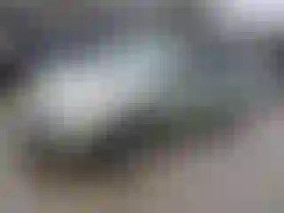 Vehicle Image- 2009 Toyota Prius