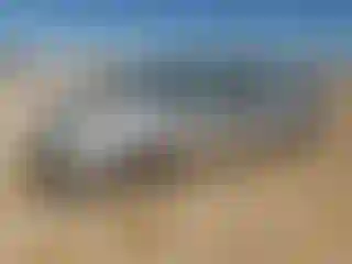 Vehicle Image- 2004 Toyota Prius