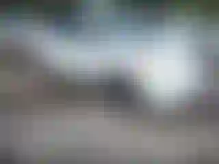 Vehicle Image- 2004 Toyota Prius