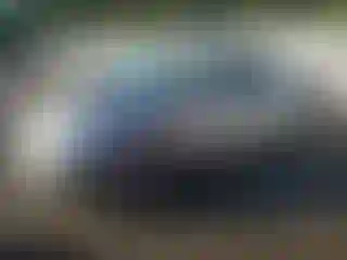 Vehicle Image- 2005 Toyota Prius