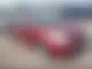 Vehicle Image- 2005 Toyota Prius