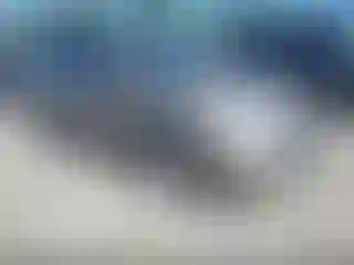 Vehicle Image- 2005 Toyota Prius