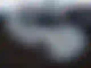 Vehicle Image- 2005 Toyota Prius