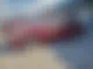 Vehicle Image- 2005 Toyota Prius