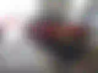 Vehicle Image- 2006 Toyota Prius