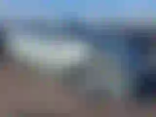 Vehicle Image- 2007 Toyota Prius