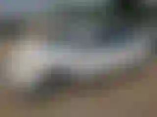 Vehicle Image- 2007 Toyota Prius