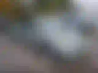 Vehicle Image- 2007 Toyota Prius