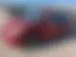 Vehicle Image- 2007 Toyota Prius