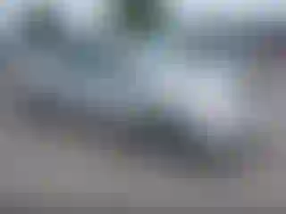 Vehicle Image- 2007 Toyota Prius