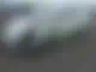 Vehicle Image- 2007 Toyota Prius