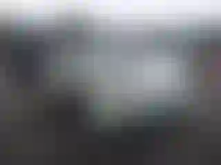 Vehicle Image- 2008 Toyota Prius